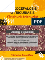 TRICOCEFALOSIS O TRICURIASIS (Trichuris trichuria