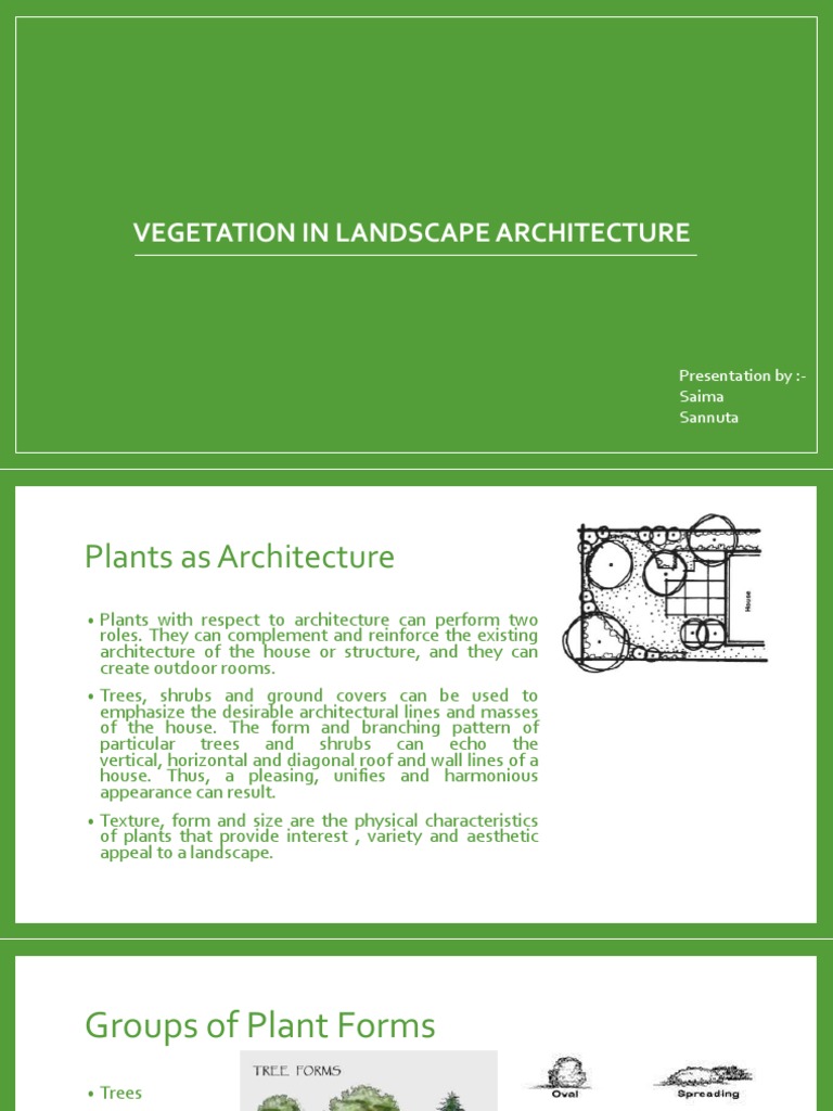 Vegetation's Role in Landscape Design | PDF | Trees | Leaf