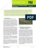 FichaPAE22_Rotacion.pdf