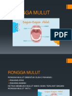 RONGGA MULUT