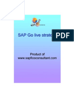 SAP Go Live Strategy11248141773
