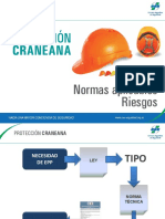 Proteccion Craneana PDF