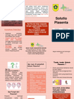 Leaflet Solusio Plasenta