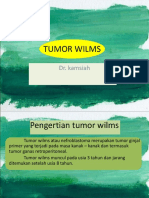 Ppt-Tumor Wilms KMH