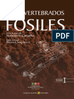 Invertebrados Fosiles I