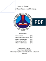 Laporan Biologi Fotosintesis