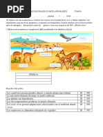 Prueba de Ciencias Naturales Cuarto Año Básico Ecosistemas