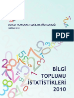 BilgiToplumu Istatistik 2010