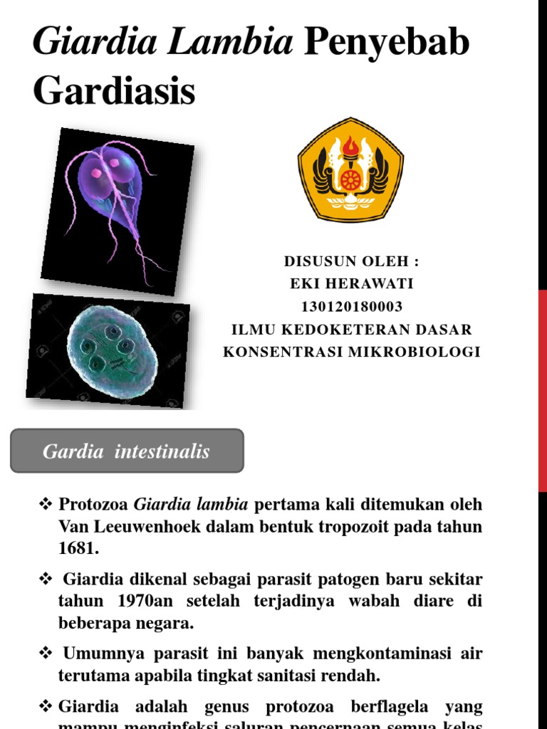 parazit giardia lamblia simptomi)