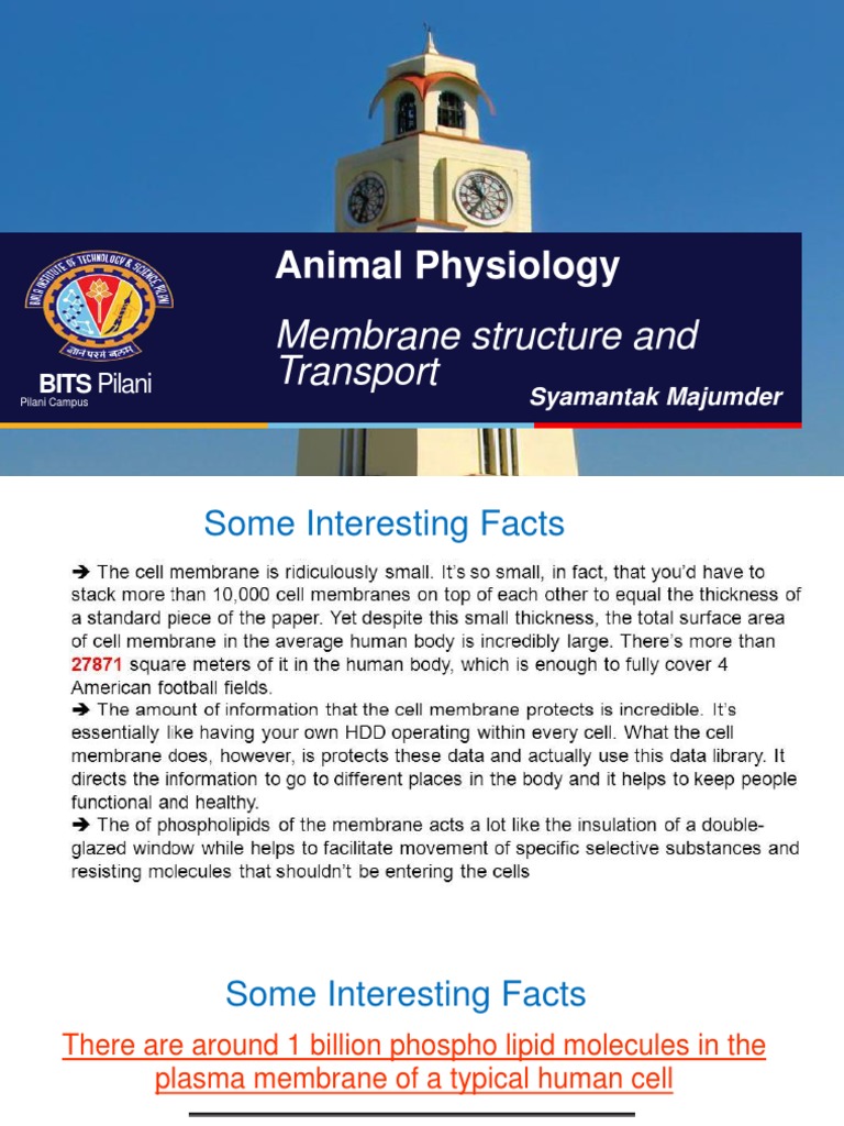AnimalPhysiology - Membrane Structure and Function | PDF | Cell ...