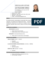 CV Cami Actualizado