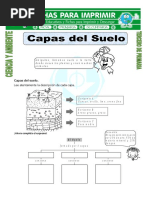 Tipos de Suelo para Niños de Primaria | PDF | Suelo | Ciencias de la Tierra
