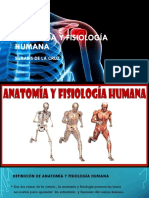 Anatomía y Fisiología Humana Surabis