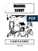 Manual-Scout-de-Cabulleria.pdf