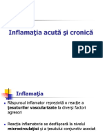 3-AMG-curs-inflamatie-1.ppt