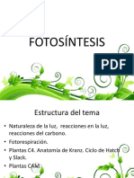 04GPVG Fotosintesis-2018 PDF