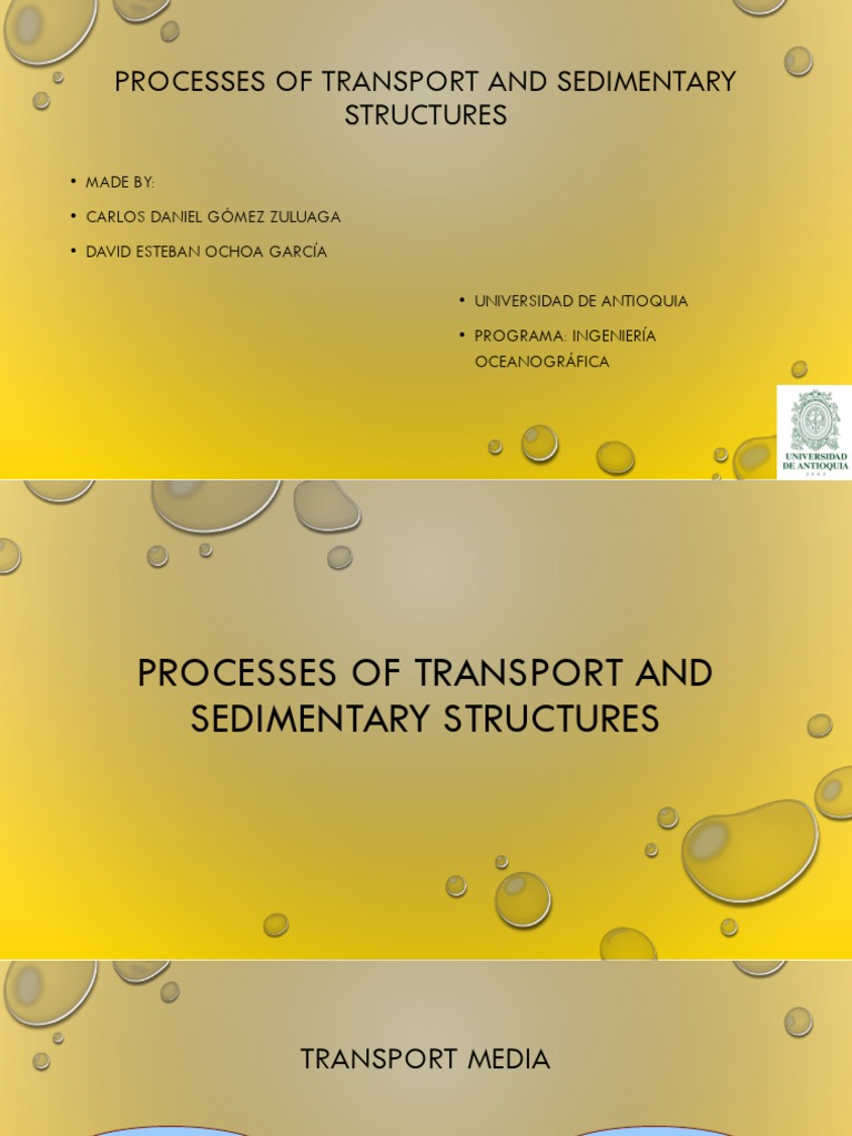 Transport Processes and Sedimentary Structures | PDF | Sedimentary Rock ...
