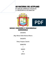 POLÍTICAS AMBIENTALES DEL PROYECTO ESPECIAL BINACIONAL LAGO TITICACA