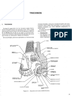 triconicos 123.pdf
