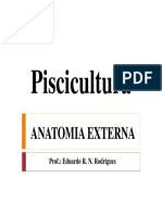 Aula 1 Anatomia Externa (Modo de Compatibilidade)