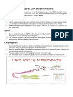 Difference Between Genes, DNA and Chromosome