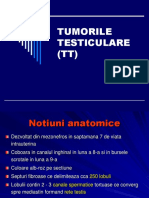 Tumorile testiculare 2014