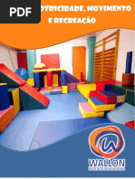 Psicomotricidade Wallon
