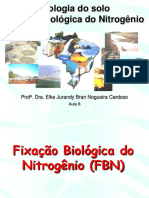 LSN 805 Aula 8 - Fixacao Biologica Do Nitrogenio