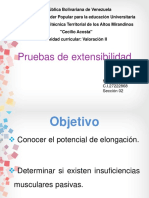 Pruebas de Extensibilidad