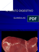 1 Sistema - Digestivo - Parte 3 GLANDULAS PDF