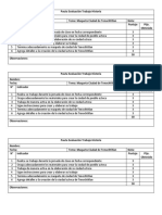 Pauta Evaluación