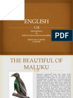 Description OF Burung Bidadari Halmahera Retno Eka Safitri 1715025087