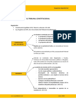 el tribunal constitucional.pdf