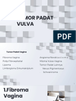 Tumor Padat Vulva