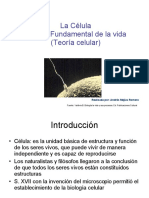 02-teora-celular-1208219906155243-8.pdf