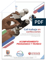 5.- Acompañamiento Pedagógico y Técnico