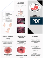 Enfermedad de Barrett y Hernias Esofágicas PDF