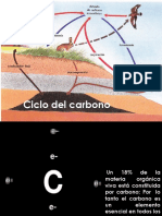 Ciclo del carbono.pptx