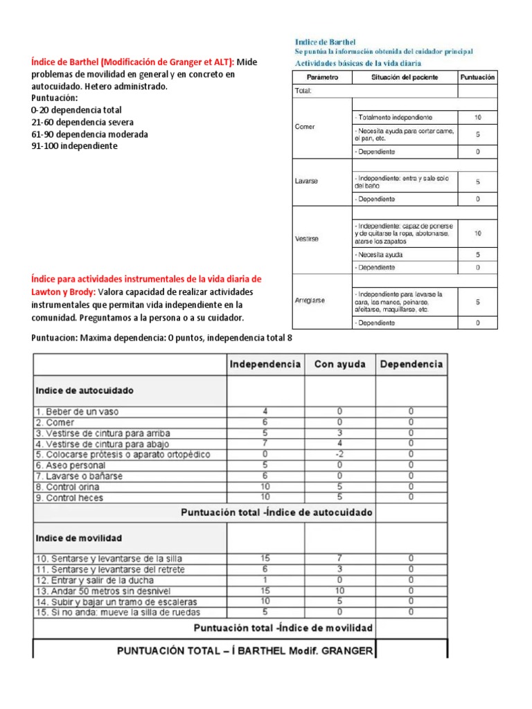 Índice de Barthel PDF