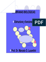 Membranas Biologicas