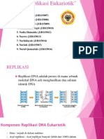 Replikasi Eukariotik