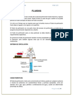 PGP205 Geologia Del Petroleo