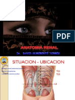 Anatomia Renal 