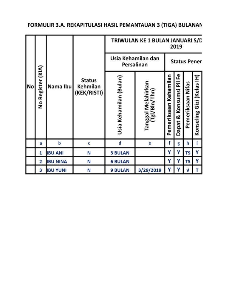 Formulir 3 A Rekapitulasi Hasil Pemantauan 3 Tiga Bulanan Bagi Ibu Hamil Xlsx