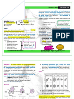 P 02 Amebiasis R3 PDF