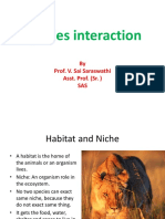Species Interaction