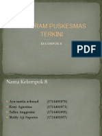 Program Puskesmas Terkini 8