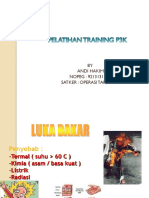 P3K PDF