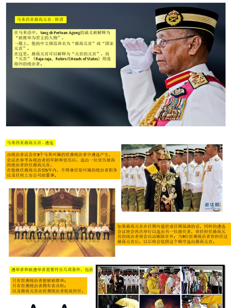 选举国家元首 | PDF