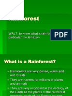 Rainforest - Primary Resources